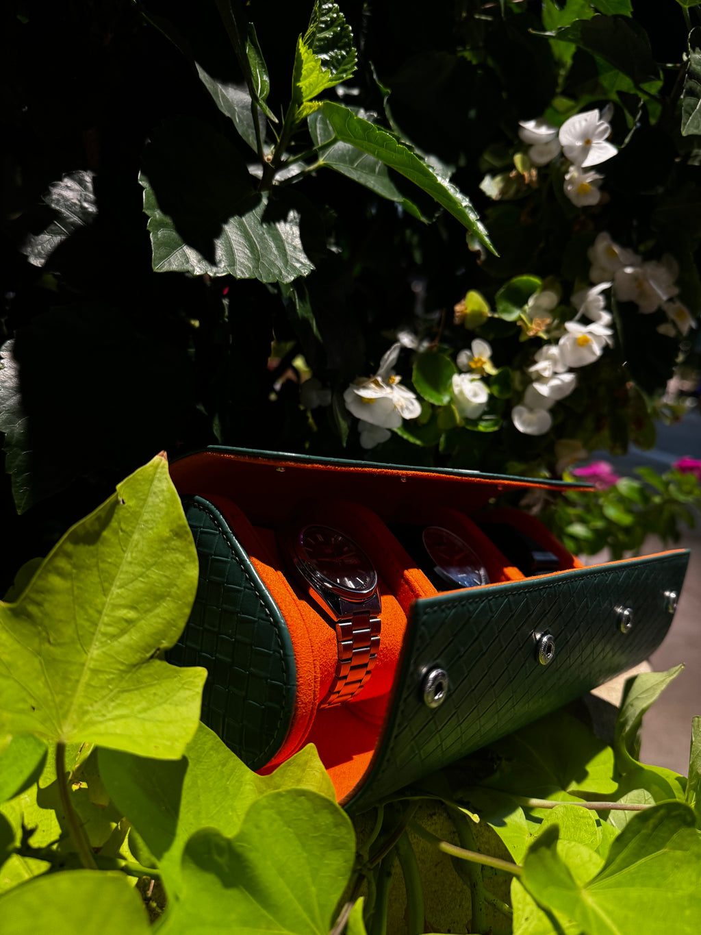 Green Satsuma Roll- Three watches