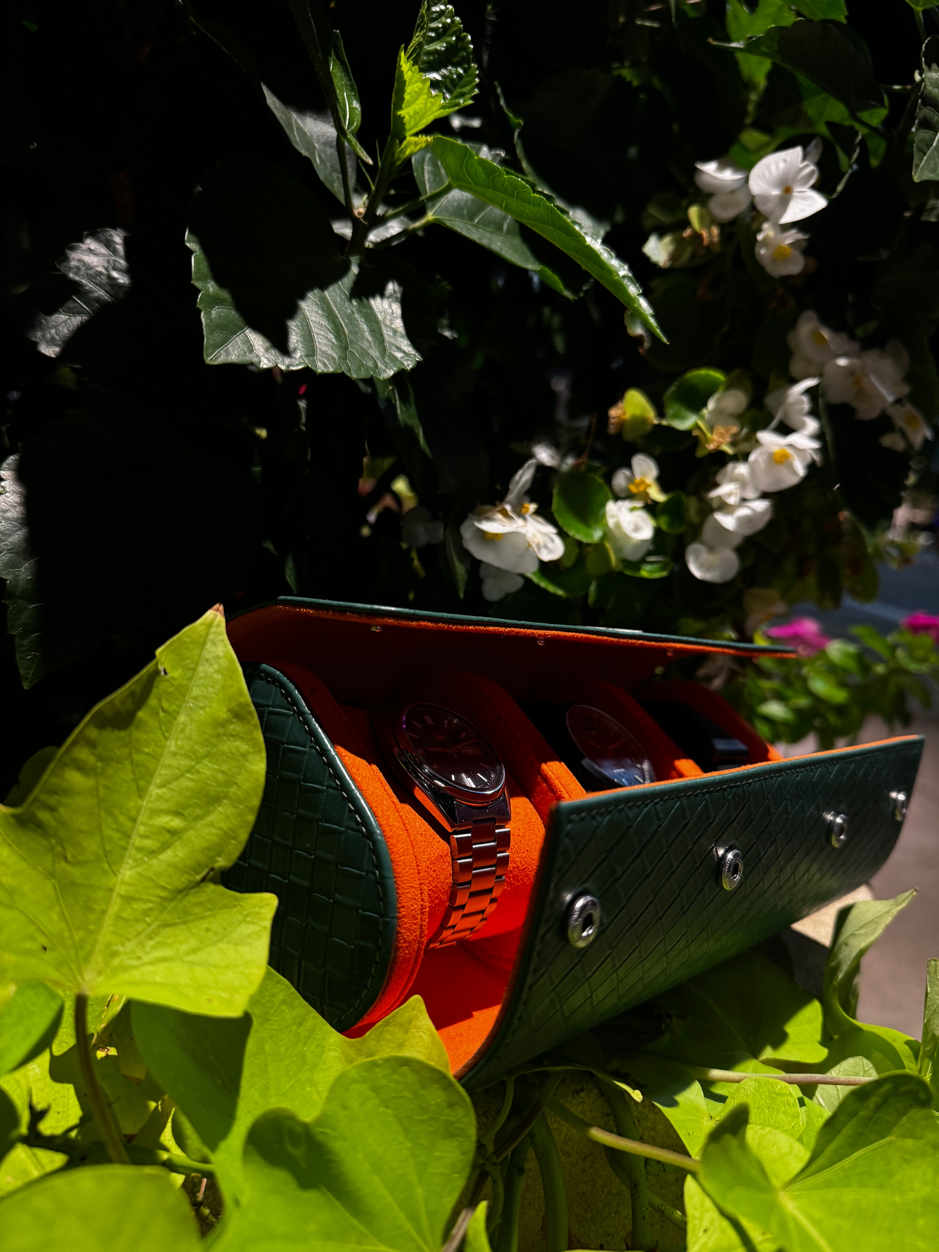 Green Satsuma Roll- Three watches