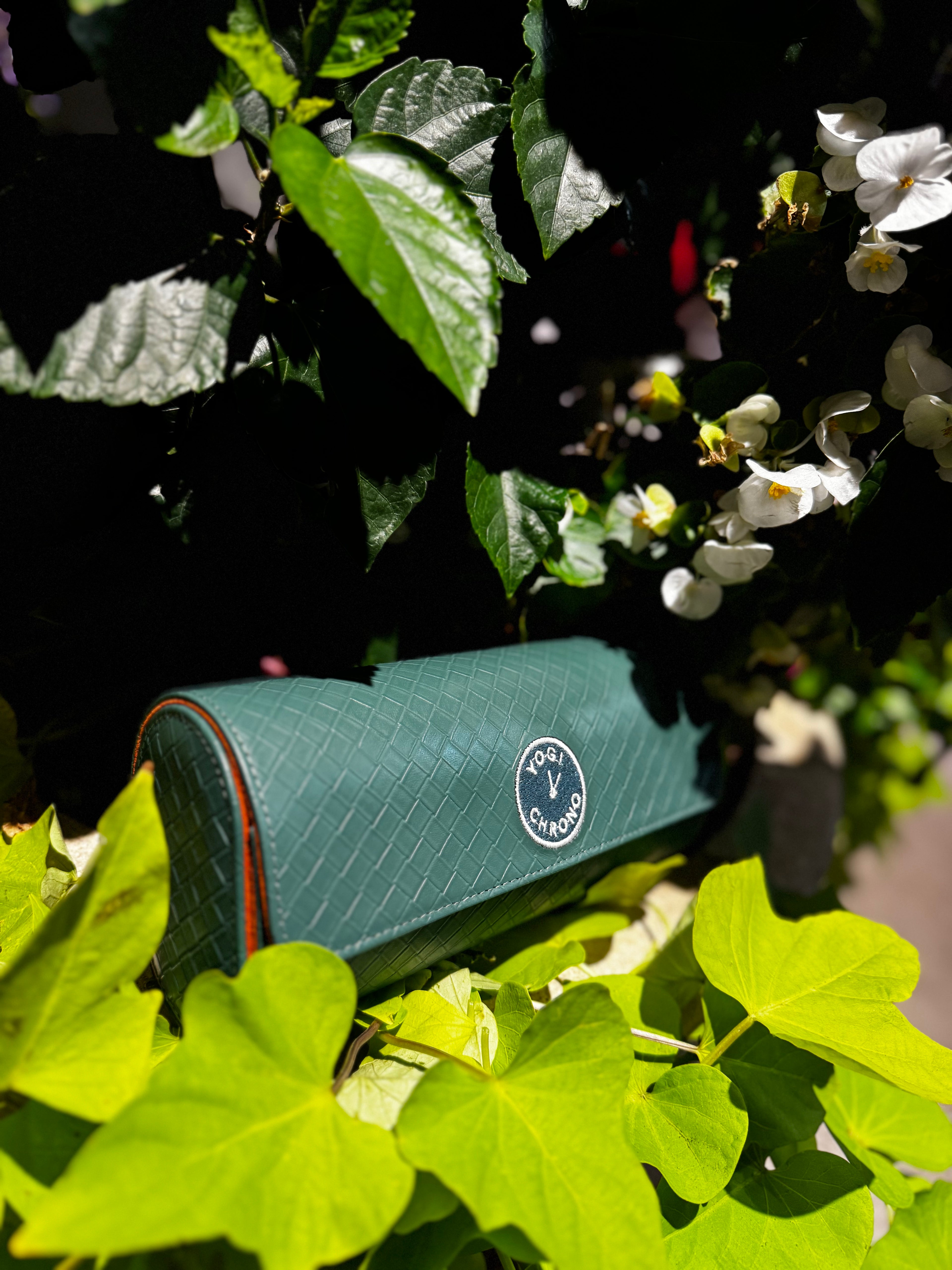 Green Satsuma Roll- Three watches